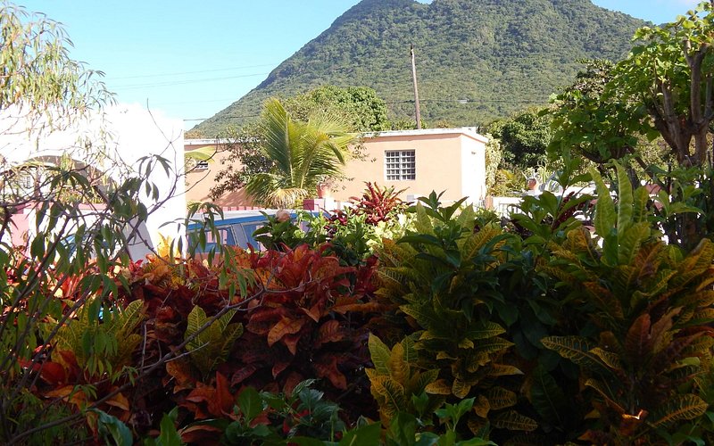 Country Inn in Upper Town, Oranjestad