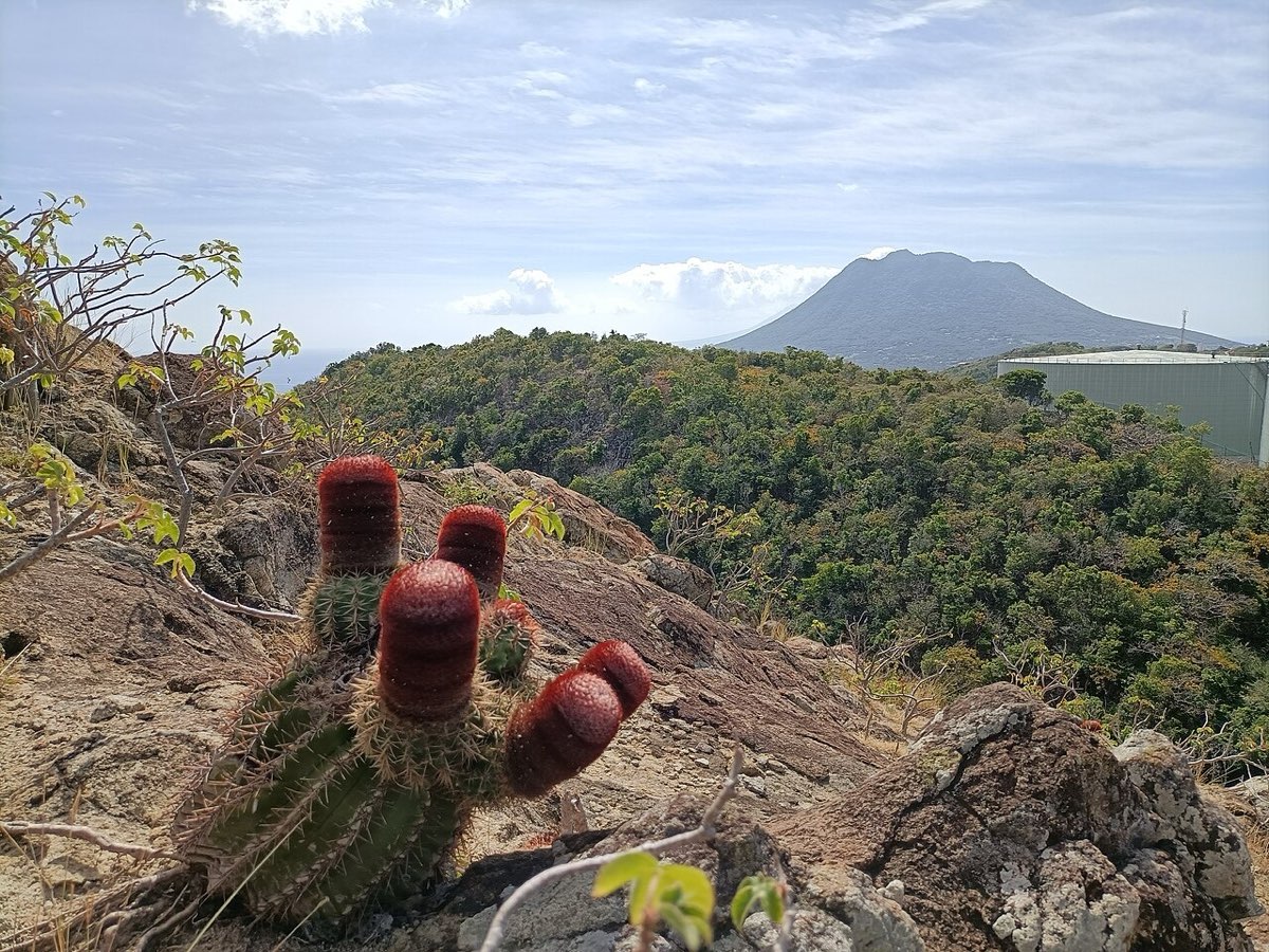 Satori Wellness Studio on Sint Eustatius
