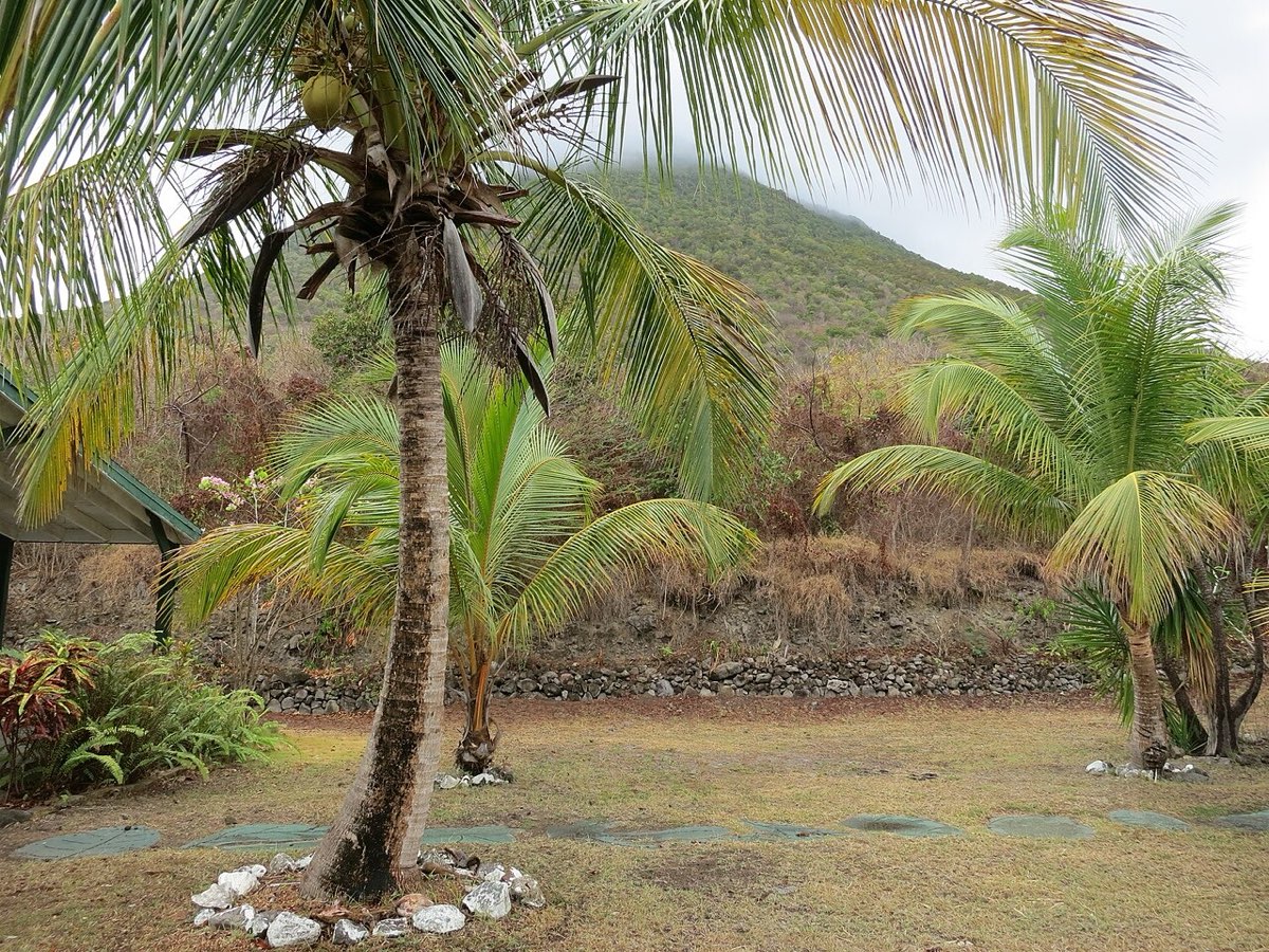 Miriam C. Schmid Botanical Garden on Sint Eustatius